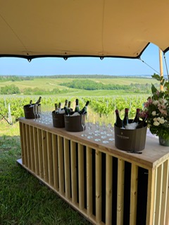 bar bois vigne authentique nature